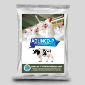 ADLINCO-P