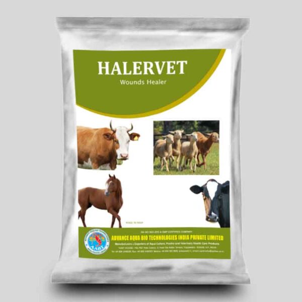 HALERVET 1