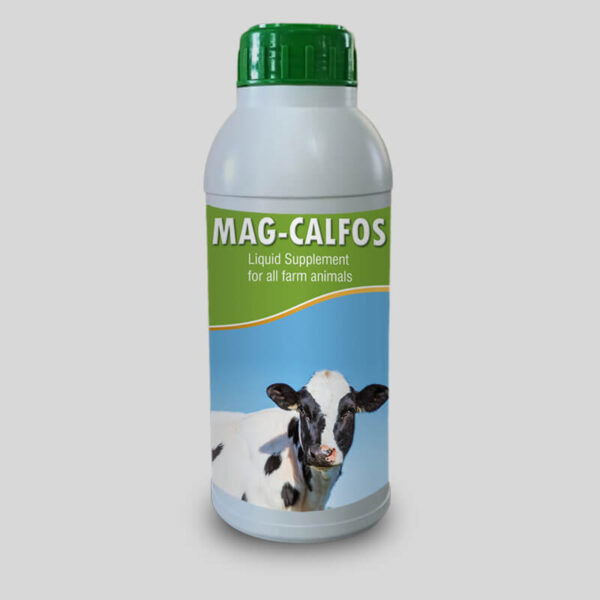 MAG CALFOS 1