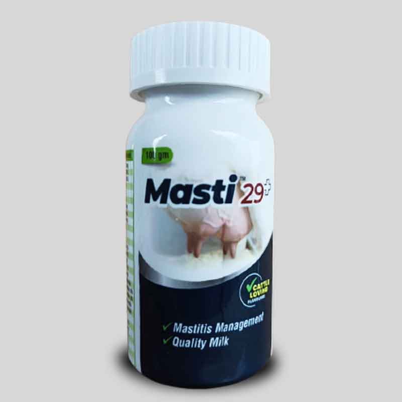 MASTI 29+ 1 MASTI 29+