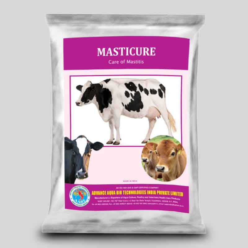 MASTICURE 1 MASTICURE