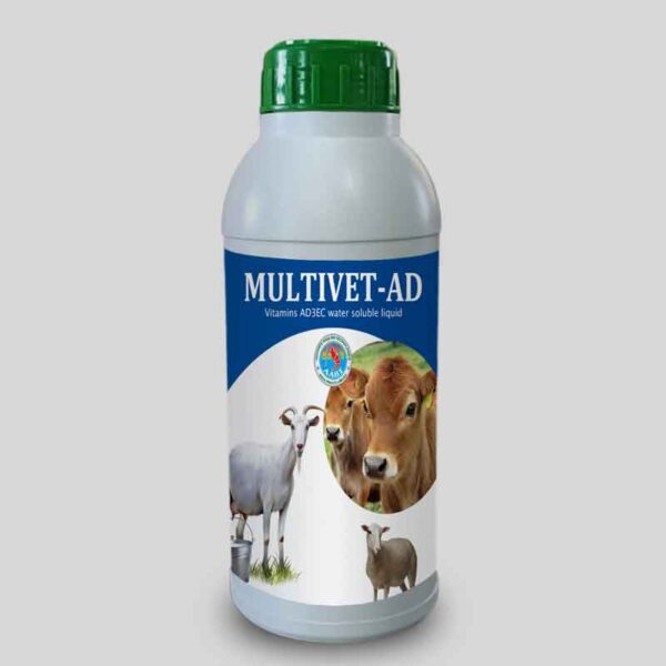 MULTIVET AD 1 1