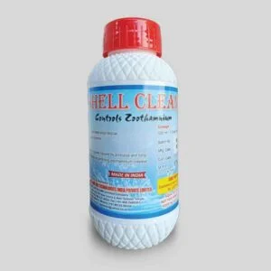 SHELL CLEAN