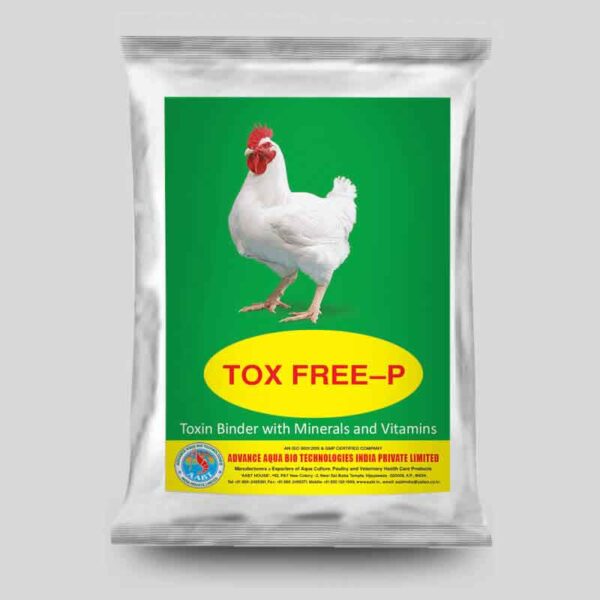 TOX FREE P 1