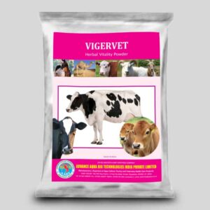 VIGERVET
