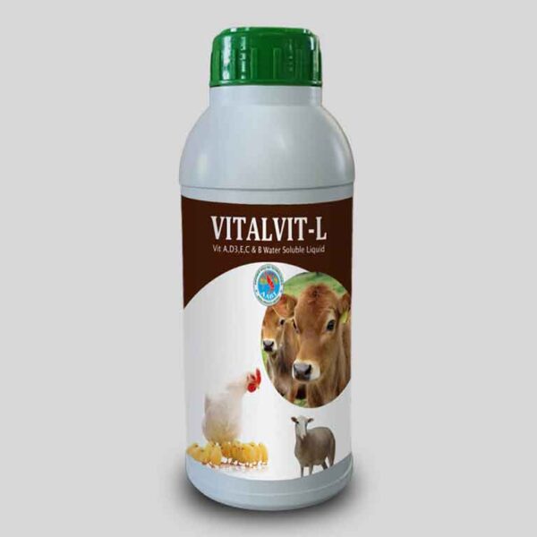 VITALVIT L 1 1